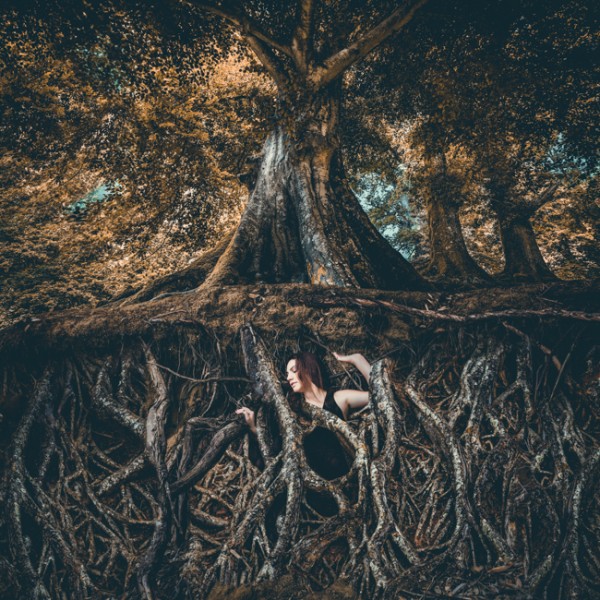 The Hanging Tree – Dark Forest Conceptual Photography