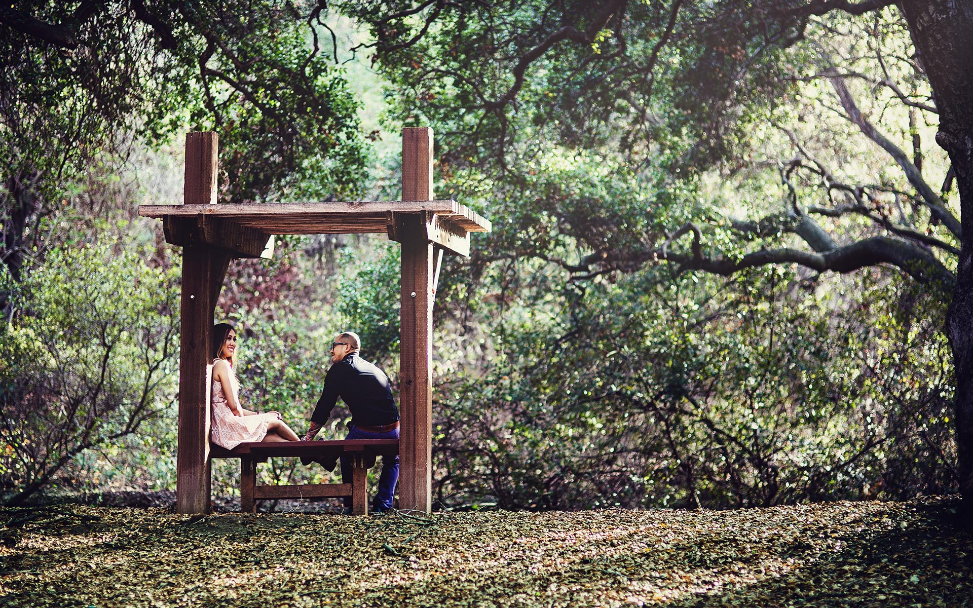 engaged couple sitting at oak canyon nature center